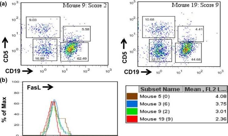 Detection of Fas Ligand/TNFSF6 by Flow Cytometry