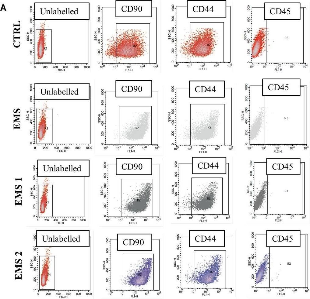 Detection of Equine CD44 by Flow Cytometry