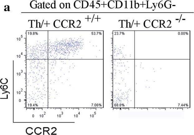 Detection of CCR2 by Flow Cytometry