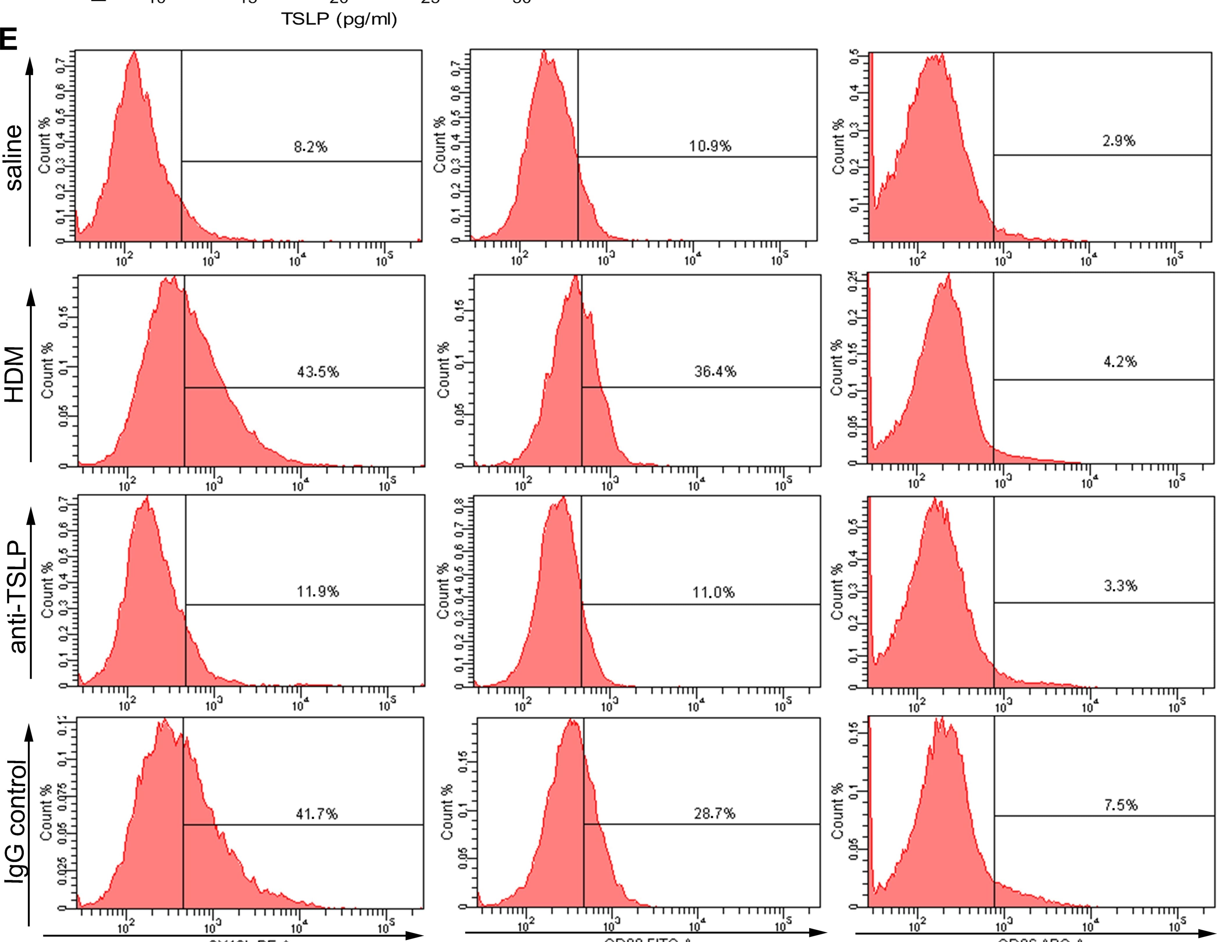 Detection of Mouse Mouse TSLP Antibody by Flow Cytometry