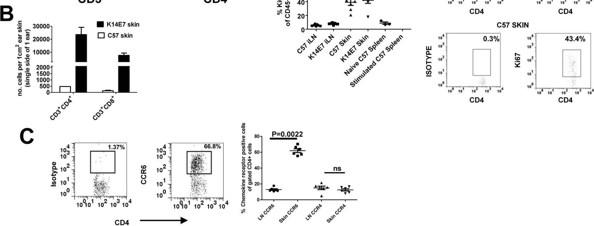 Detection of CCR6 by Flow Cytometry