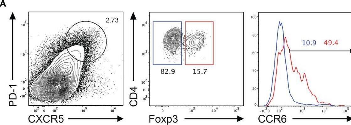 Detection of CCR6 by Flow Cytometry
