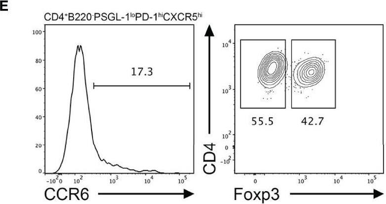 Detection of CCR6 by Flow Cytometry