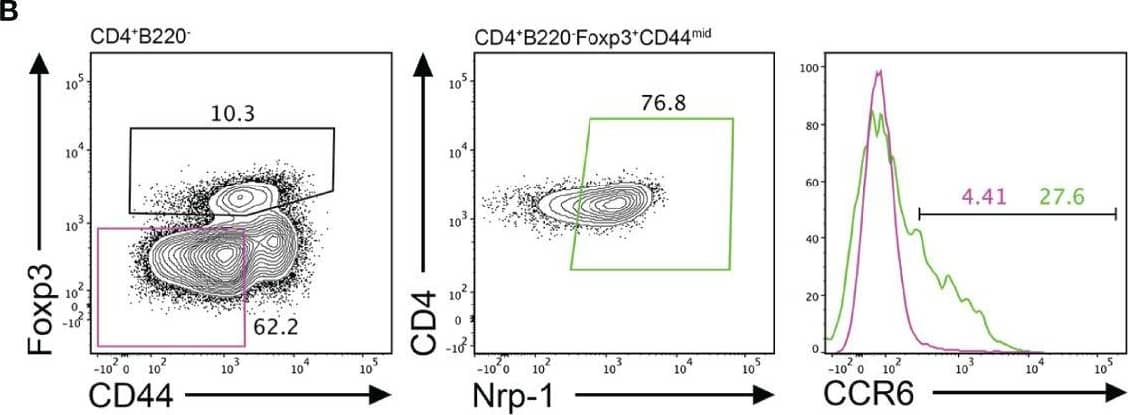 Detection of CCR6 by Flow Cytometry