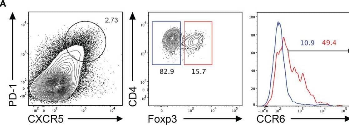 Detection of CCR6 by Flow Cytometry