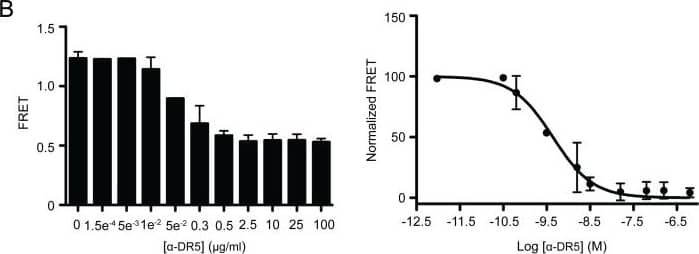 Detection of Human TRAILR2/TNFRSF10B by Functional