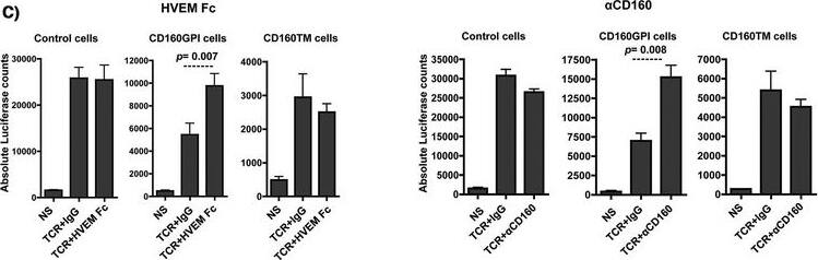 Detection of Human CD160 by Functional