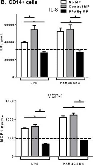 Detection of Human CCL2/JE/MCP-1 by ELISA