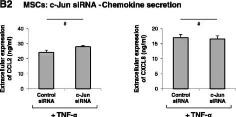 Detection of Human CCL2/JE/MCP-1 by ELISA