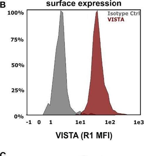Detection of VISTA/B7-H5/PD-1H by Flow Cytometry