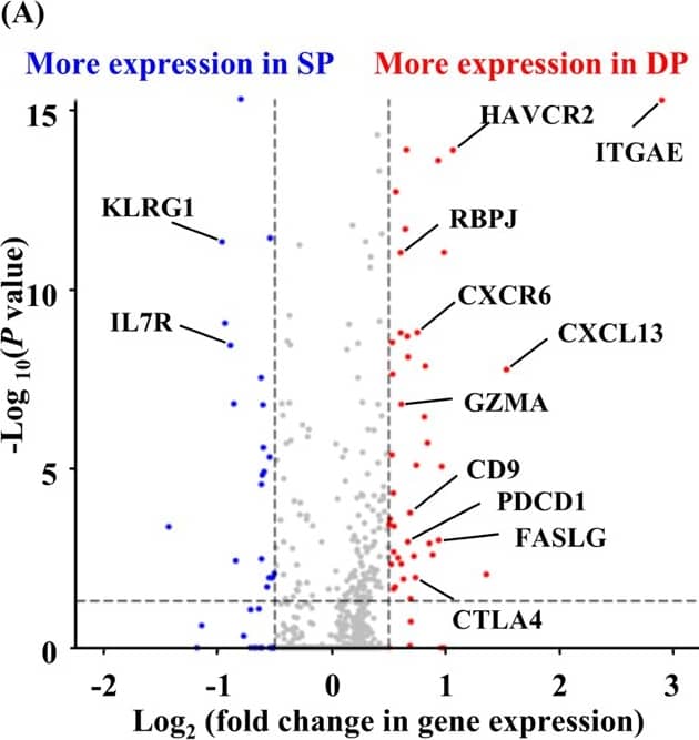 Detection of Human CXCL13/BLC/BCA-1 by Flow Cytometry