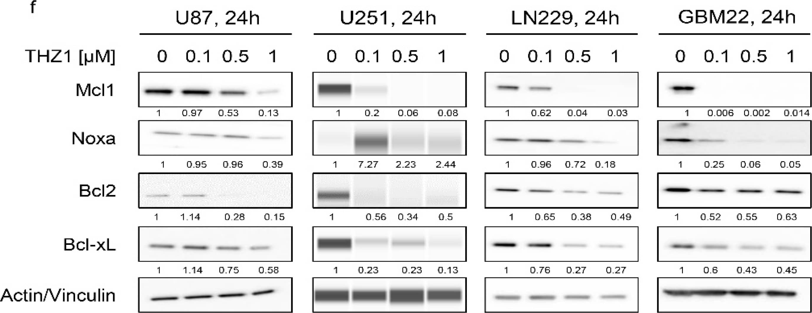 Detection of Human Bcl-2 by Simple Western