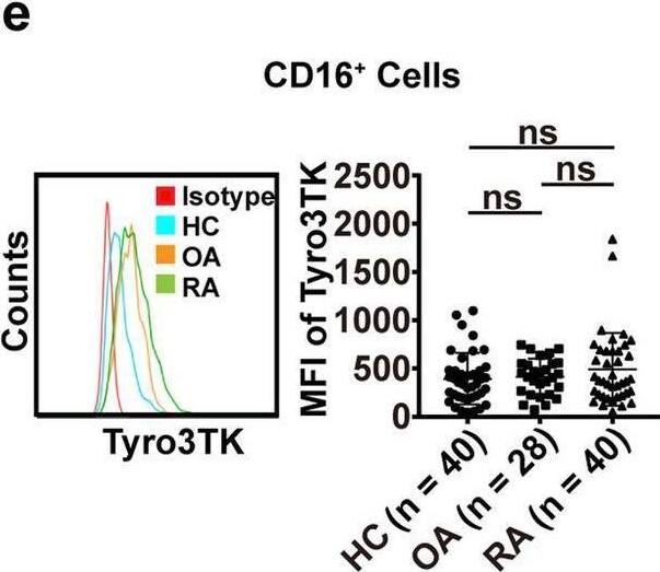 Detection of Tyro3/Dtk by Flow Cytometry