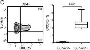 Detection of Survivin by Flow Cytometry