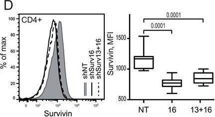 Detection of Survivin by Flow Cytometry