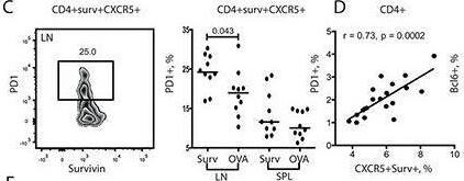 Detection of Survivin by Flow Cytometry