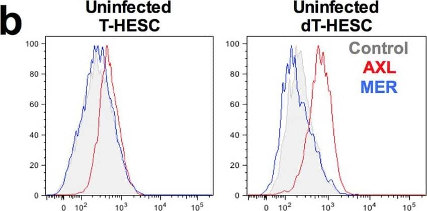 Detection of Human Human Mer Antibody by Flow Cytometry