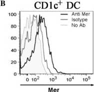 Detection of Mer by Flow Cytometry