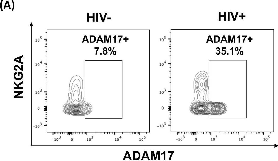 Detection of TACE/ADAM17 Ectodomain by Flow Cytometry