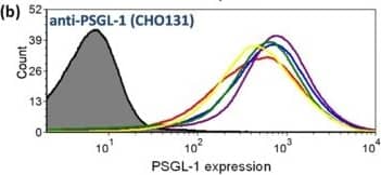 Detection of Human PSGL-1/CD162 by Flow Cytometry