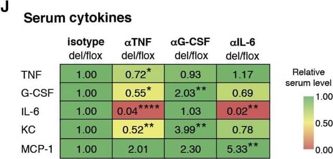 Detection of Mouse G-CSF by ELISA