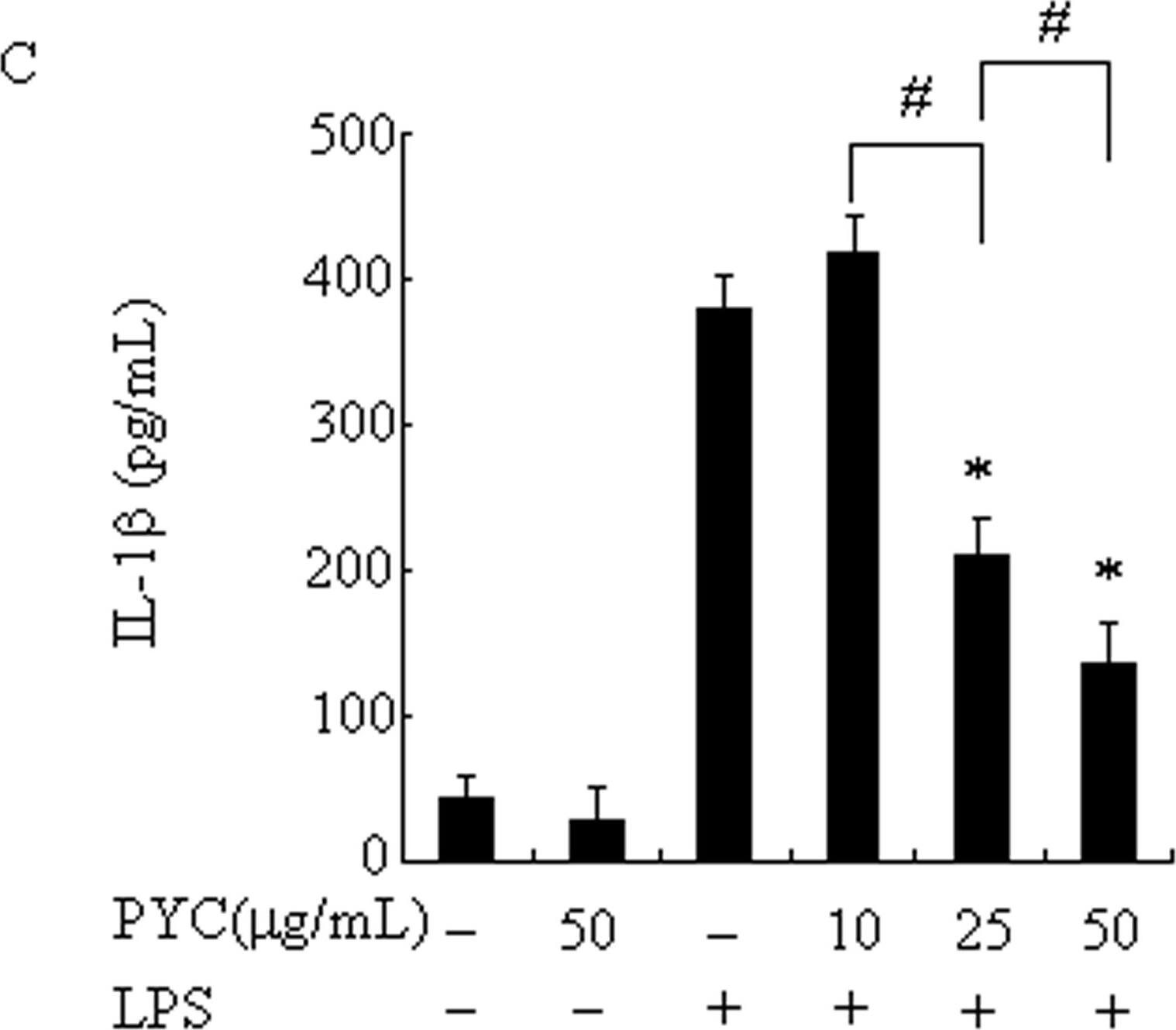 Human E‑Cadherin Antibody