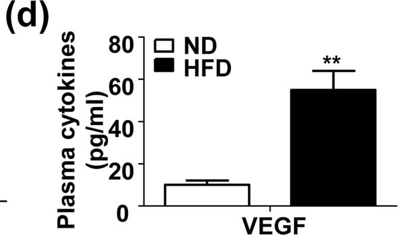 Mouse VEGF Quantikine ELISA Kit