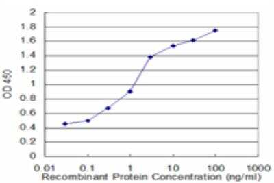 ELISA: mu Crystallin Antibody (1C6) [H00001428-M09]