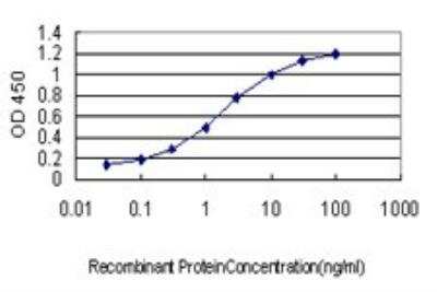 ELISA: mu Crystallin Antibody (6B3) [H00001428-M03]