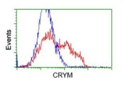 Flow Cytometry: mu Crystallin Antibody (OTI1G7) - Azide and BSA Free [NBP2-72825]