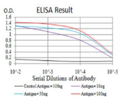 ELISA: nNOS Antibody (2E11G6) - BSA Free [NBP2-52520]