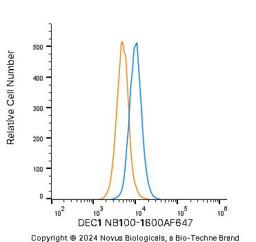 DEC1 Antibody [Alexa Fluor® 647]