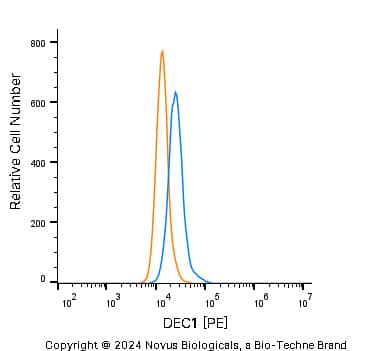 DEC1 Antibody [PE]