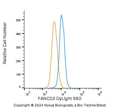 FANCD2 Antibody [DyLight 550]