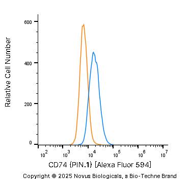 CD74 Antibody (PIN.1) [Alexa Fluor® 594]
