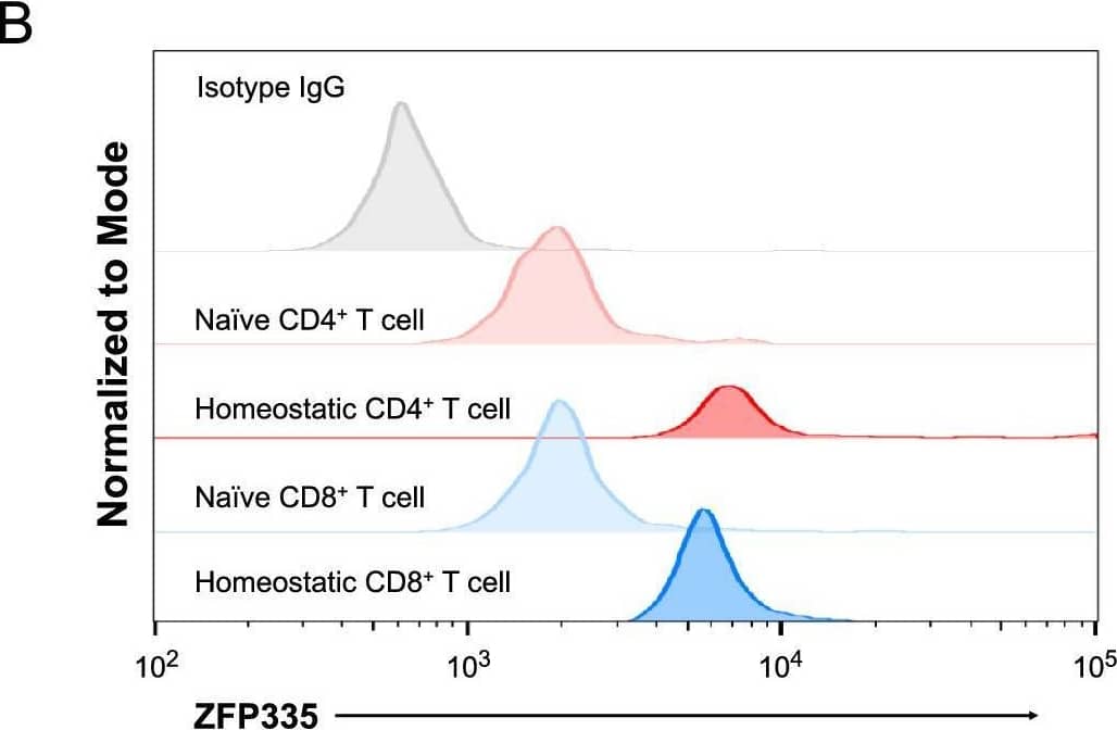 NIF1 Antibody