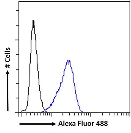 FXR/NR1H4 Antibody
