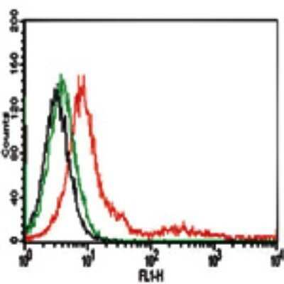 TLR4 Antibody (MTS510)