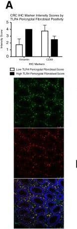 TLR4 Antibody (76B357.1) - BSA Free
