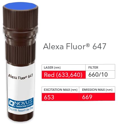 CD24 Antibody (SN3) [Alexa Fluor® 647]