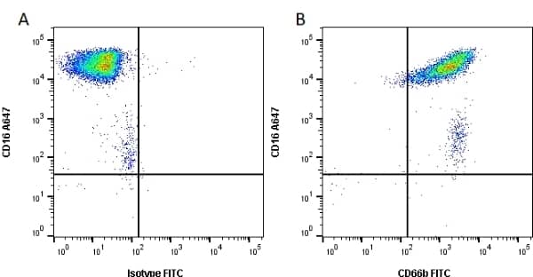 CEACAM8/CD66b Antibody (80H3) Flow Cytometry: CEACAM8/CD66b Antibody (80H3) [NB100-64916] -