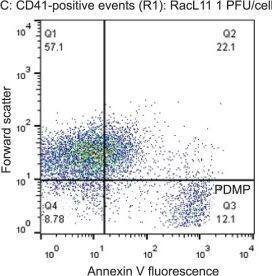 P-Selectin/CD62P Antibody (Psel.KO.2.7) [DyLight 488]
