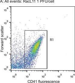 P-Selectin/CD62P Antibody (Psel.KO.2.7) [DyLight 488]