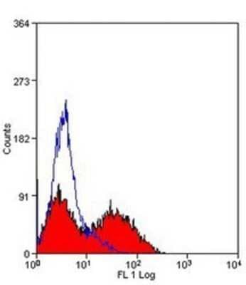 MHC Class II RT1B Antibody (OX-6) - BSA Free
