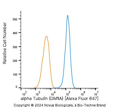 alpha Tubulin Antibody (DM1A) [Alexa Fluor® 647]