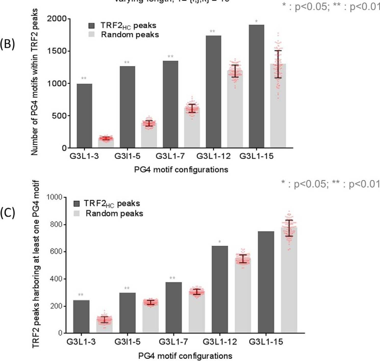 TRF-2 Antibody - BSA Free
