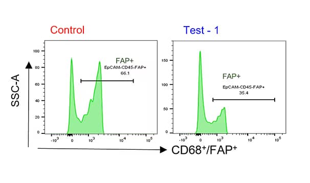 Fibroblast Activation Protein alpha/FAP Antibody [Alexa Fluor® 350]