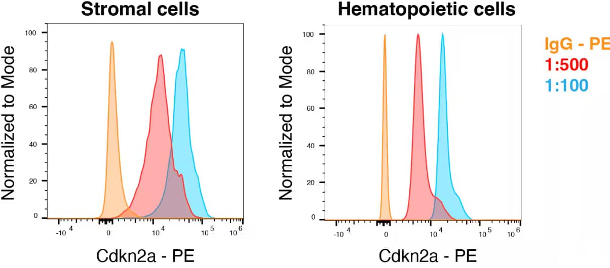 p19ARF/CDKN2A Antibody (5-C3-1) [Allophycocyanin/Cy7]