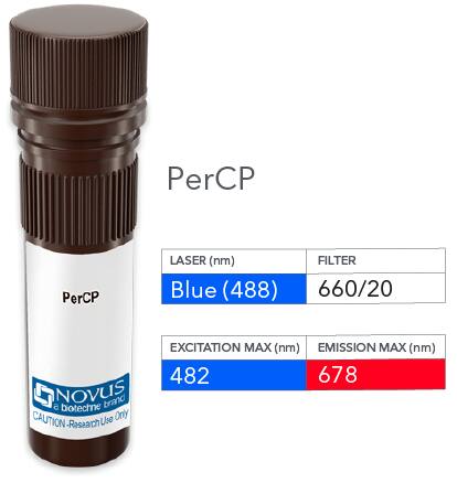 GAP-43 Antibody [PerCP]