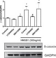 GAPDH Antibody (1D4)